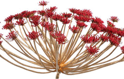 PTMD Queen Anne'S Kunsttak - 7 x 43 x 82 cm - Kunststof - Rood