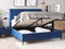 SEZANNE - Bed met opbergruimte - Blauw - 160 x 200 cm - Fluweel