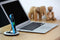 JUSTMOBILE AluBolt - Lightning dock - Geschikt voor iPhone en iPad - Zilver
