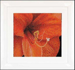 Thea Gouverneur - Borduurpakket met telpatroon - 496A - Voorgesorteerde DMC Garens - Amaryllis - Aida - 15 cm x 14 cm - DIY Kit