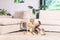 Designed by Lotte Lomax - Krabpaal - 3 krabbollen met jute sisal zeegras - Crème (1 stuk)