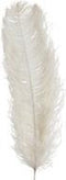 J-Line decoratie struisvogelpluim 1delig - creme