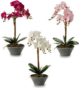 Decoratieve plant Orchidee 16 x 48 x 28 cm Plastic (4 Stuks)