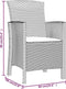 vidaXL - Tuinstoel - met - kussen - polypropeen - rattan - bruin