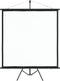 vidaXL - Projectiescherm - met - statief - 1:1 - 89''