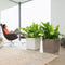 LECHUZA CUBE PREMIUM 50 - Plantenbak - met uitneembare binnenbak - met bewateringssysteem - ALL-IN-ONE set met LECHUZA-PON - zilver metallic