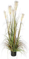 Mica Decorations pluimgras in plastic pot maat in cm: 150 x 45