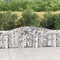 vidaXL - Schanskorven - 8 - st - gewelfd - 400x30x100/120 - cm - ijzer