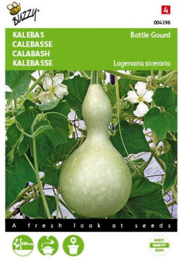 5 stuks Laganeria, Sierkalebas Giant Bottle