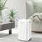 TROTEC TTK 27 HEPA - Luchtontvochtiger en luchtreiniger - 95 % HEPA-filtering - Wit