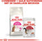 Royal Canin Protein Exigent - Kattenvoer - 400 g