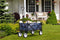Feel home - Opvouwbare bolderkar - donkerblauw