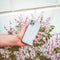 iMoshion Hoesje Geschikt voor Samsung Galaxy A41 Hoesje Siliconen - iMoshion Design hoesje - Wit / Transparant / Dandelion