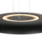Steinhauer Golden Veil 4332ZW - Hanglamp - Ingebouwde LED-verlichting - Zwart/Goud