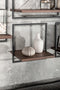 Shelfmate - d-Bodhi - Type C (WBF) - Wandbox - Notenhout - Black powdercoated Frame
