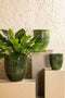 PTMD Tressie Green Glazed Ceramic Pot Border TextureSV3