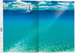 Showtas, dwars 50 stuks