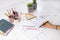 Eberhard Faber gelpen - Animal Erase-It - Luiaard - schrijfkleur blauw - uitwisbare pen - EF-582109