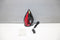 Philips DST7022/40 - Stoomstrijkijzer - 2800 W - SteamGlide Plus - Zwart/Rood