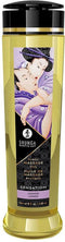 Shunga - Massageolie - Sensation Lavender - Lavendel -240 ml