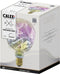 Calex Organic Neo Rainbow - E27 LED Lamp - Dimbaar Filament - Warm Wit Licht (4W)