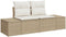 vidaXL - 2-Zits - Tuinbank - met - Opbergruimte - & - Kussens - Beige - Poly - Rattan