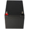 Fiamm FG21202 battery 12Ah WITH fASTON 6.3MM plug contacts