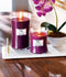 WoodWick Geurkaars Mini Black Cherry 85 gr