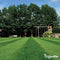 Siergazon Graszaad - Elegant (1kg, 50m2) Organifer - Graszaad Snelkiemend - Graszaad Schaduw - Gazonzaad - Graszaden - NAK Gecertificeerd - Sterk Zelfherstellend - Jaarrond Donkergroene Kleur - Perfect voor Tuin, Park & Siertuin