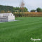 Siergazon Graszaad - Elegant (1kg, 50m2) Organifer - Graszaad Snelkiemend - Graszaad Schaduw - Gazonzaad - Graszaden - NAK Gecertificeerd - Sterk Zelfherstellend - Jaarrond Donkergroene Kleur - Perfect voor Tuin, Park & Siertuin