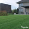 Siergazon Graszaad - Elegant (1kg, 50m2) Organifer - Graszaad Snelkiemend - Graszaad Schaduw - Gazonzaad - Graszaden - NAK Gecertificeerd - Sterk Zelfherstellend - Jaarrond Donkergroene Kleur - Perfect voor Tuin, Park & Siertuin