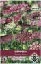 Sierpeen Dara (Daucus carota)