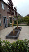 Sierpruim als leiboom Prunus cerasifera Nigra h 270 cm st. omtrek 6...