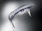 Sigel folderhouder - A4 liggend - wandmodel - transparant acryl - SI-LH118