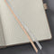 Sigel notitieboek A5 - Conceptum Pure - beige - hardcover - 194 pagina's - 80 grams - ruit - SI-CO650