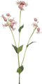 Silene spray pink 80 cm Emerald