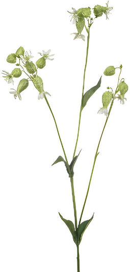 Silene spray white/green 80 cm Emerald