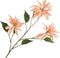 Silk-ka Kunstbloem-Zijde Bloem Poinsettia Tak Zalm 119 cm
