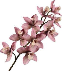 Silk-ka Kunstbloem-Zijde Cymbidium Steel 88 cm