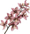Silk-ka Kunstbloem-Zijde Cymbidium Steel 88 cm