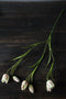Silk-ka Kunstbloem-Zijden Bloem Fritillaria Tak Groen 64 cm Voordeelaanbod Per 2 Stuks