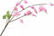 Silk-ka Kunstbloem-Zijden Bloem Frittelaria Tak Roze 71 cm