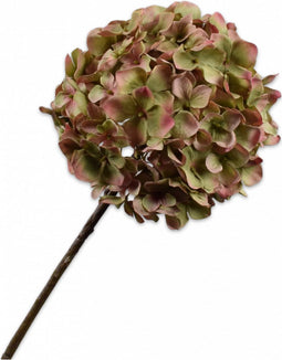 Silk-ka Kunstbloem-Zijden Bloem Hortensia Steel Groen-Rood 70 cm