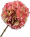Silk-ka Kunstbloem-Zijden Bloem Hortensia Steel Zalm 64 cm