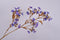 Silk-ka Kunstbloem-Zijden Bloem-Hortensia Tak Zijde Goud-Paars 127 cm