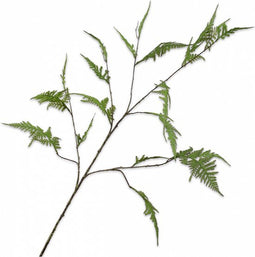 Silk-ka Kunstbloem-Zijden Bloem-Kunsttak Asparagus Tak Groen 124 cm