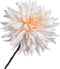Silk-ka Kunstbloem-Zijden Bloem-Kunsttak Dahlia Steel Crème 65 cm