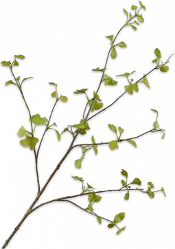 Silk-ka Kunstbloem-Zijden Bloem-Kunsttak Ginkgo Tak Groen 115 cm