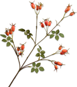 Silk-ka Kunstbloem-Zijden Bloem-Kunsttak Rozenbottel Tak Oranje 67 cm
