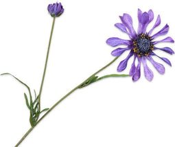Silk-ka Kunstbloem-Zijden Bloem Margriet Steel Paars 55 cm Voordeelaanbod Per 2 Stuks